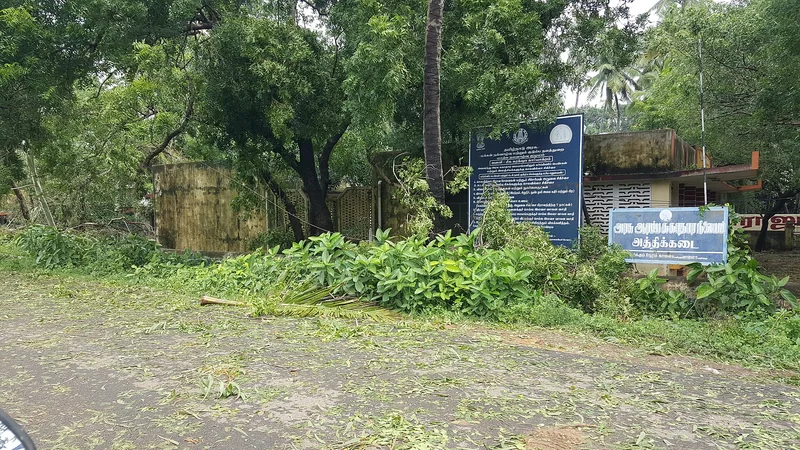 The entrance to Athikkadai Government Hospital in Tamil Nadu, blue signboards in Tamil and English among trees, a low building behind.